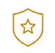 shield icon